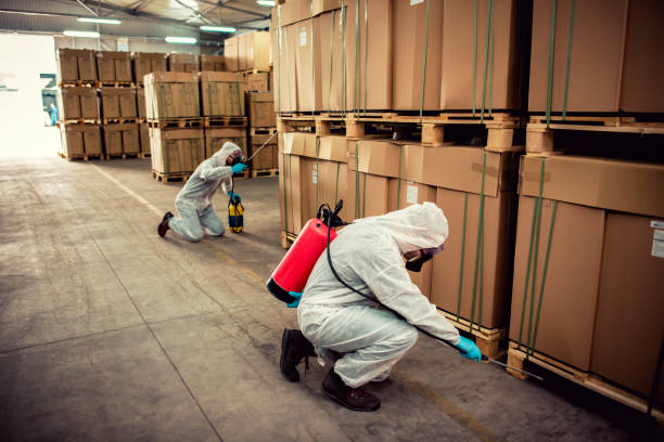 Best Emergency Pest Control  in , NC