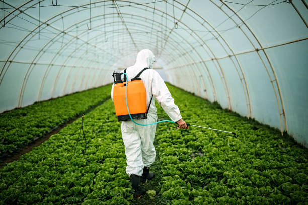 Best Best Pest Control Companies  in , NC