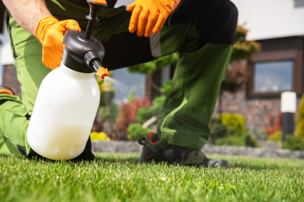 Best Affordable Pest Control Services  in , NC