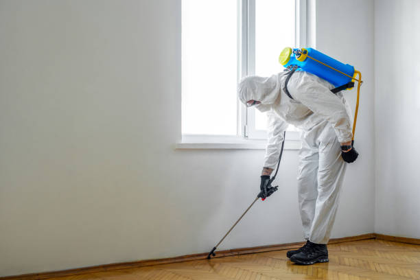 Best Affordable Pest Control Services  in , NC