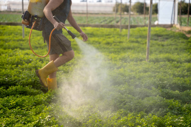 Best Best Pest Control Companies  in , NC