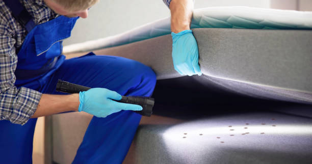 Best Emergency Pest Control  in , NC