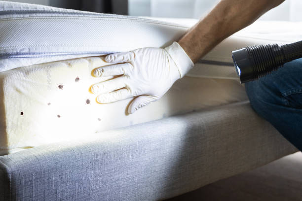 Best Insect Control  in , NC