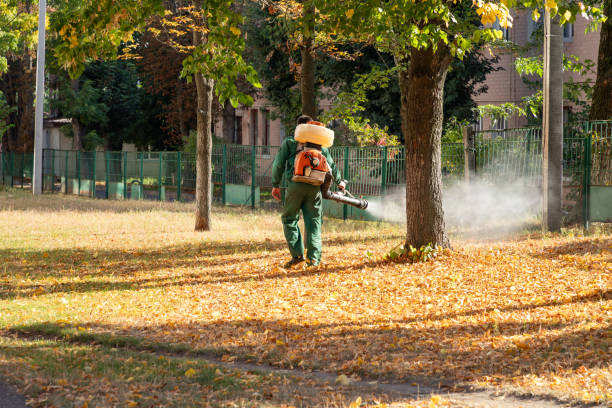 Best Commercial Pest Control Services  in , NC