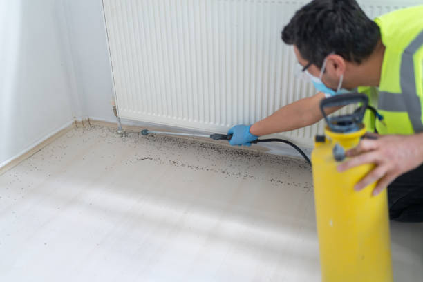 Best Affordable Pest Control Services  in , NC